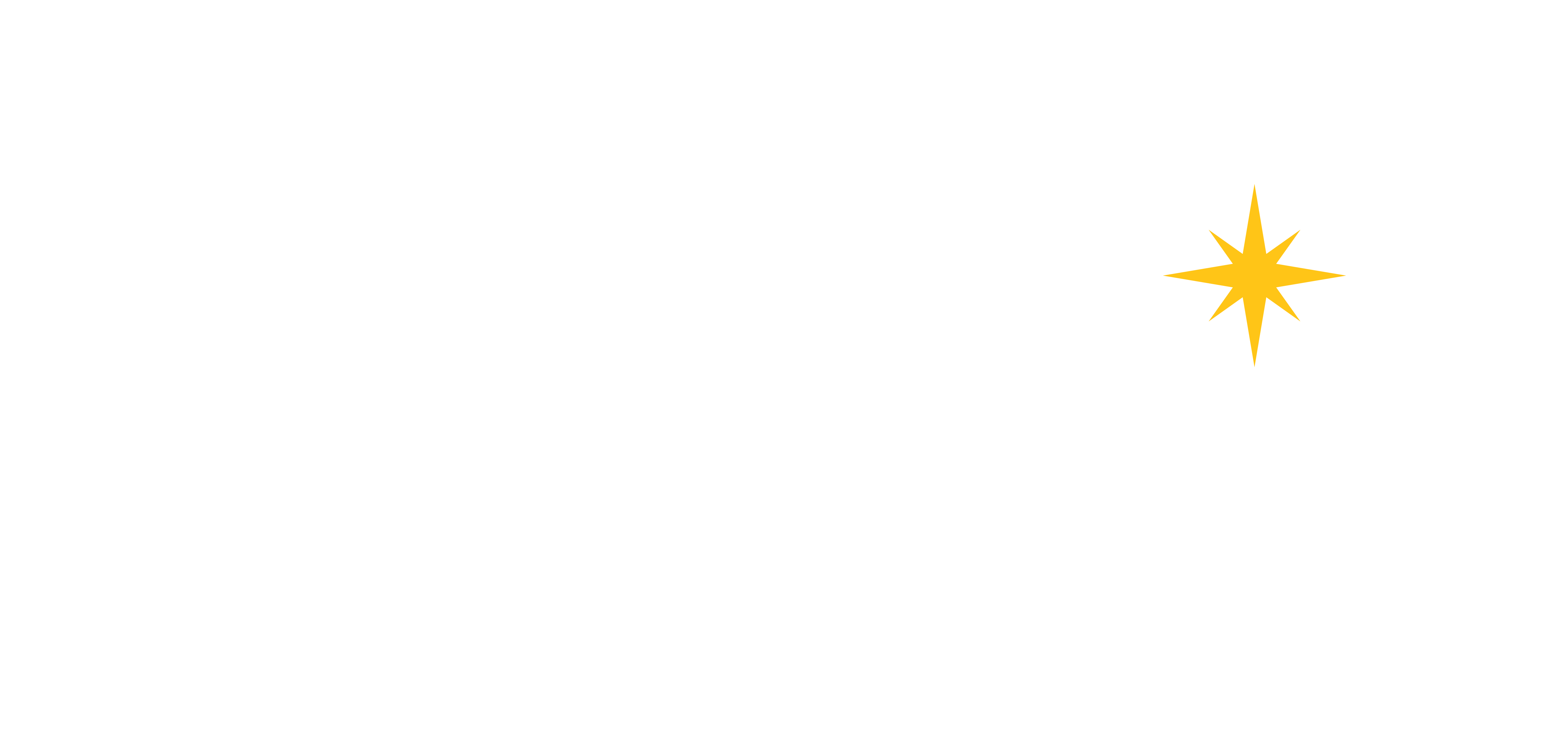 ڕاشەنی شەوکۆ logo